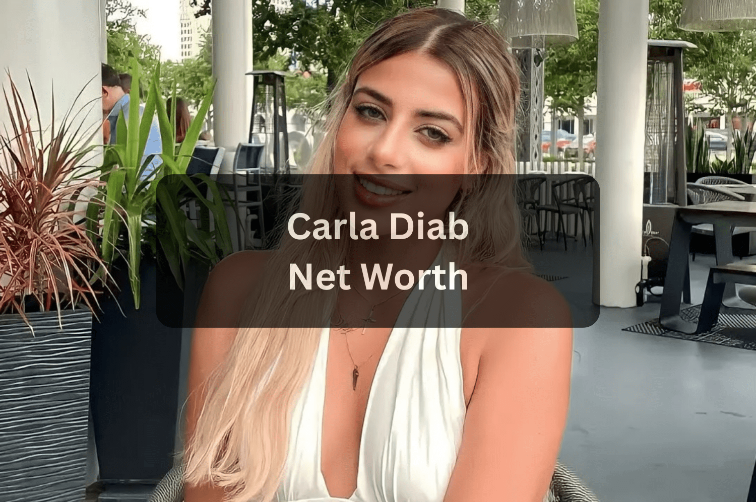 Carla Diab Net Worth